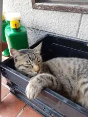 ひろいうみ　✨️お値下げご相談下さい✨️の画像