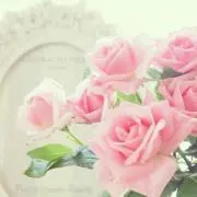 ゆの画像