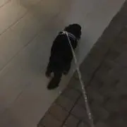 きあい