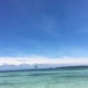 夏恋