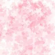Ku257の画像