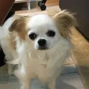 るんるん