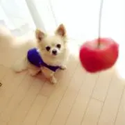 りくもも☆