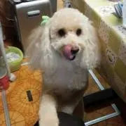 16組　組長です。の画像