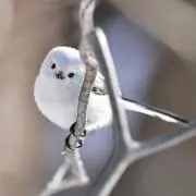 weilinの画像