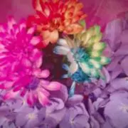 R(プロフ必読)