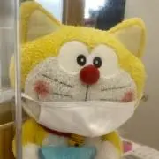 のんねこ¨̮⃝土日発送休み