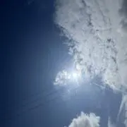 たくの画像