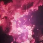 野々村の画像