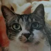 ぶーちゃん