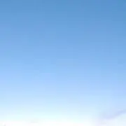 きつねのしっぽの画像