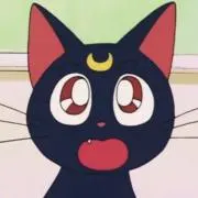 ❁﻿ Luna ❁プロフ必読の画像