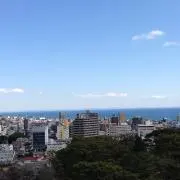 マハロ