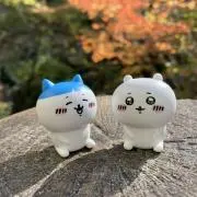 キクハル
