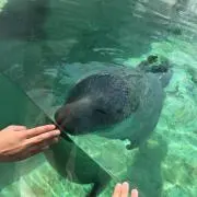あーさんの画像