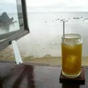 バタフライ☆プロフ必読の画像