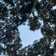 mixの画像