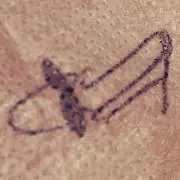 ycの画像