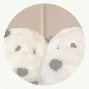 niniの画像