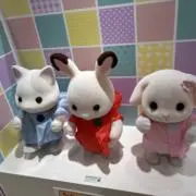 ぱらりの画像