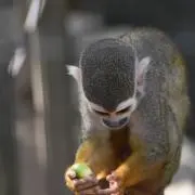 M☆Kの画像