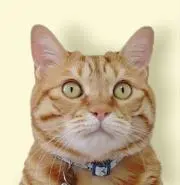 マイケルのママの画像