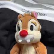 ラスカルの画像