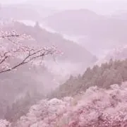 m.の画像