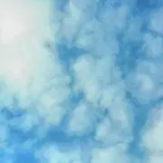 ぽこの画像