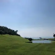 To runの画像