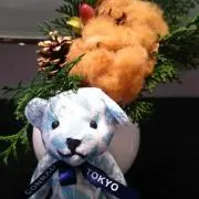 アザナの画像