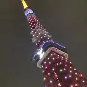 M.N♡の画像