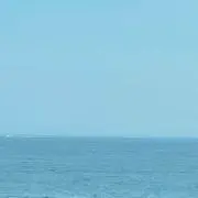 結構元気です