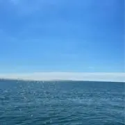 Rの画像