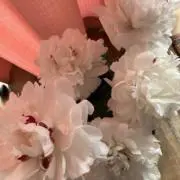 レディースショップの画像