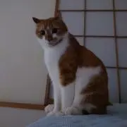 Jun