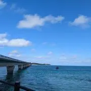 peaceの画像