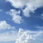 Rasidoプロフ必読の画像