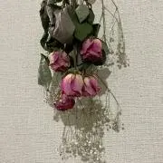 sの画像