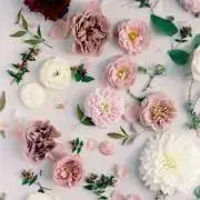 Rosesの画像