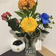 イーブイブ
