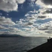 towaの画像