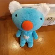おすしの画像