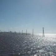 迅速対応。土日発送。の画像