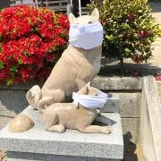 嘉月堂の画像
