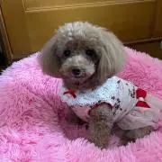 しげみん♡の画像