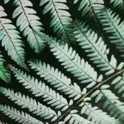 太陽　プロフ見てね