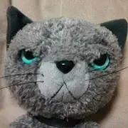 きなこ
