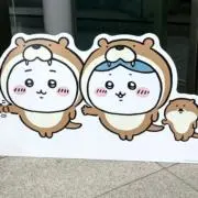 まっちゃの画像
