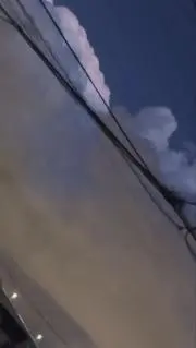 そら猫の画像